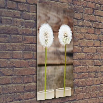 Print on a a glass dandelions