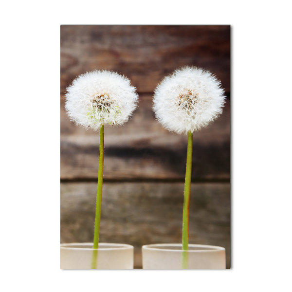 Print on a a glass dandelions