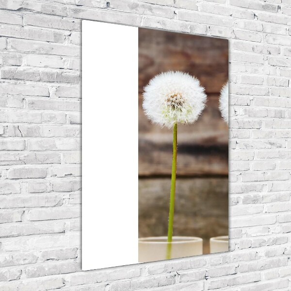 Print on a a glass dandelions