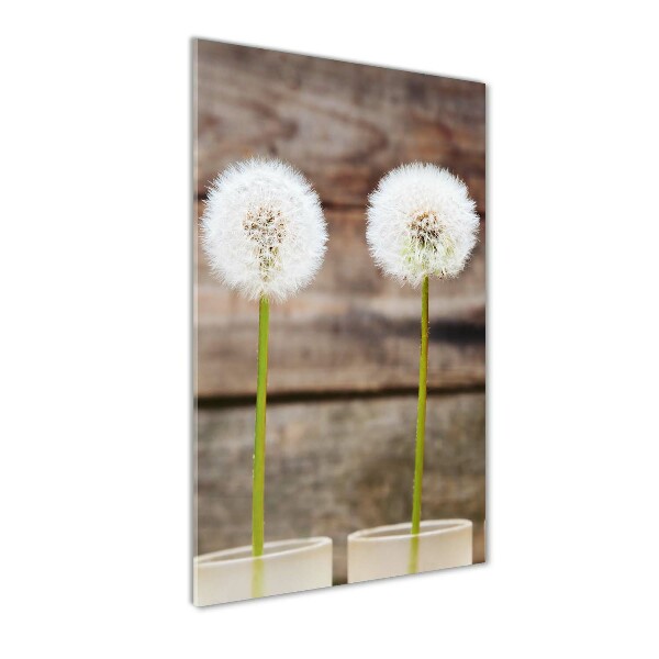 Print on a a glass dandelions