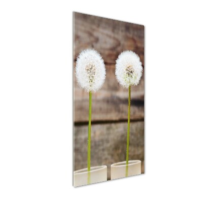 Print on a a glass dandelions