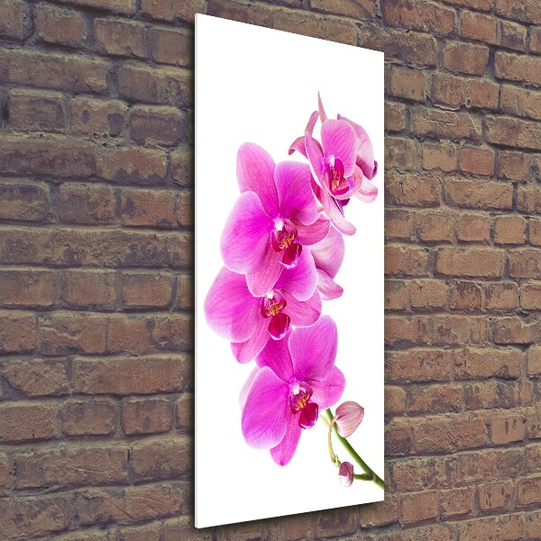 Print on a a glass Pink orchid