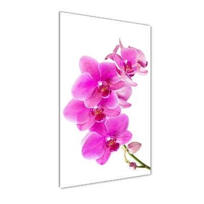 Print on a a glass Pink orchid