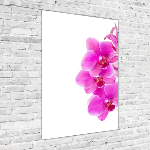 Print on a a glass Pink orchid