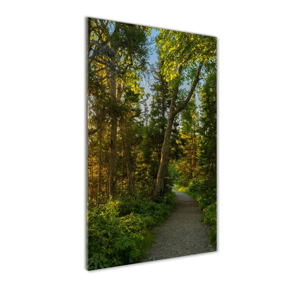 Wall art on glass Path in the forest