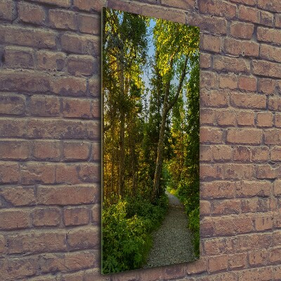 Wall art on glass Path in the forest