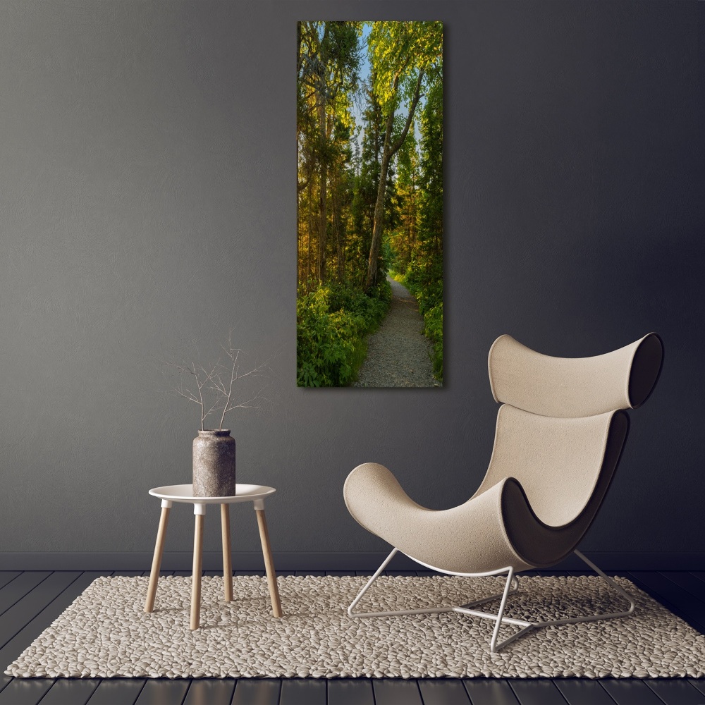 Wall art on glass Path in the forest