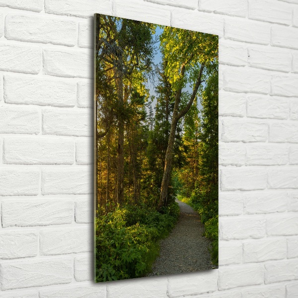 Wall art on glass Path in the forest