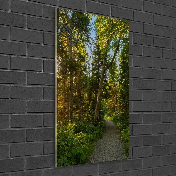 Wall art on glass Path in the forest