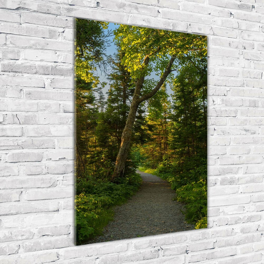 Wall art on glass Path in the forest