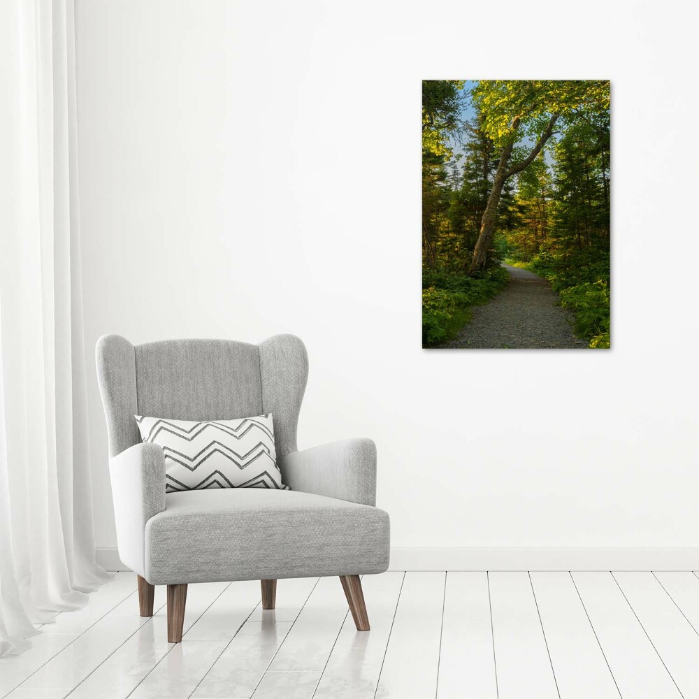 Wall art on glass Path in the forest