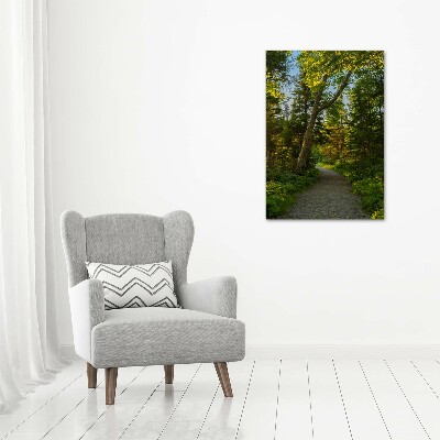 Wall art on glass Path in the forest