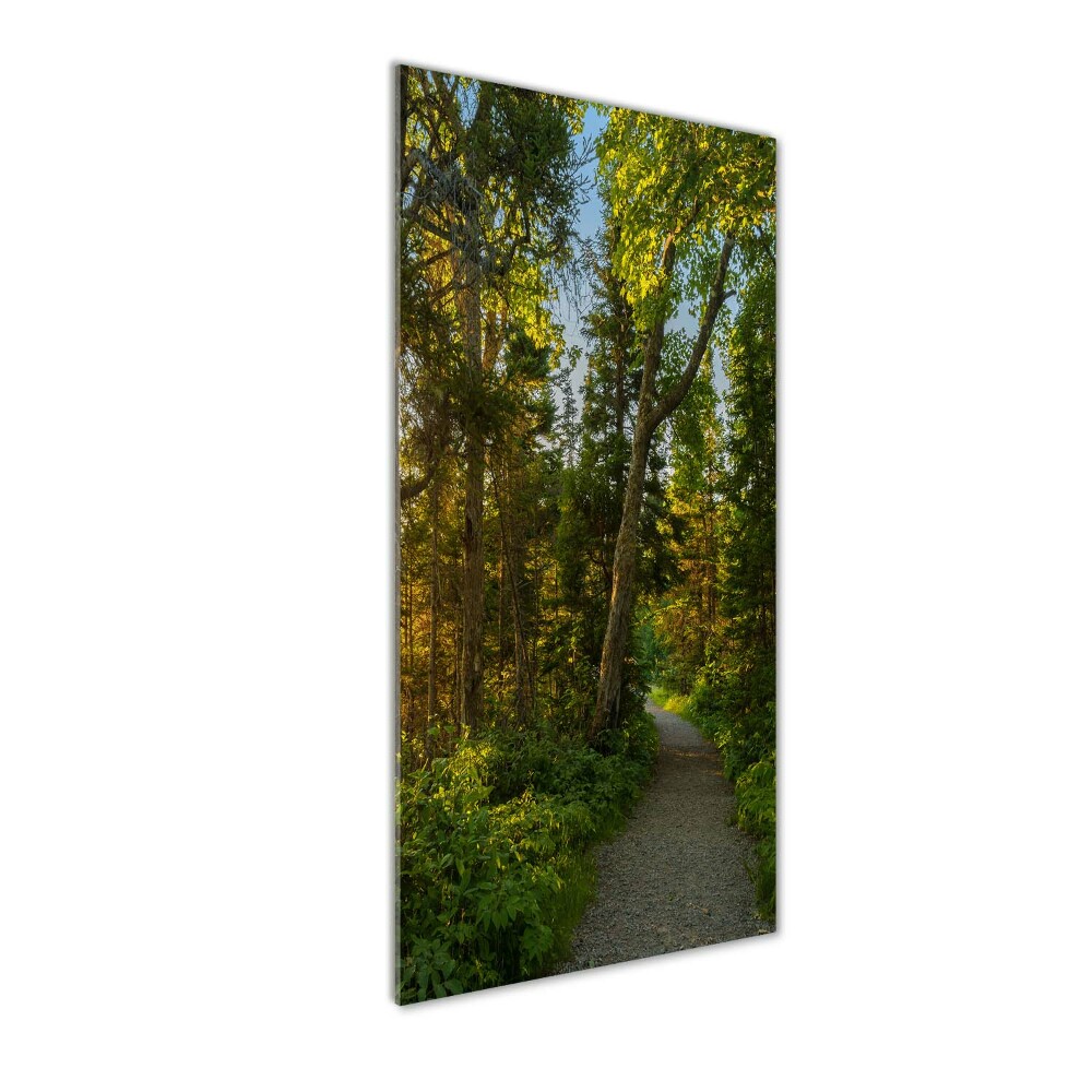 Wall art on glass Path in the forest