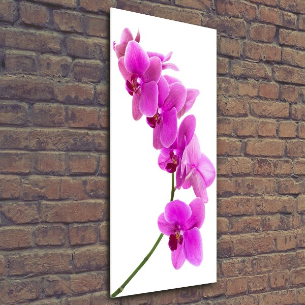 Glass art picture Pink orchid