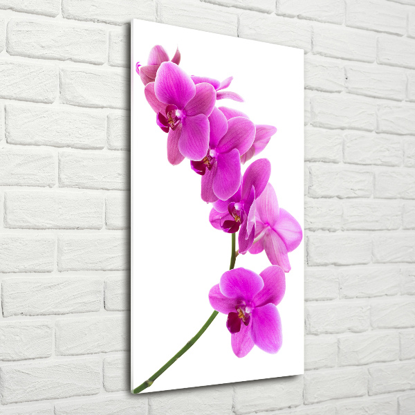 Glass art picture Pink orchid