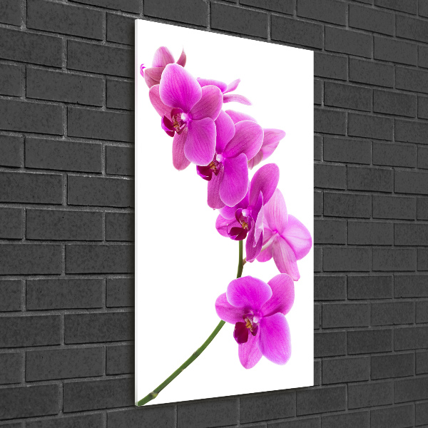 Glass art picture Pink orchid