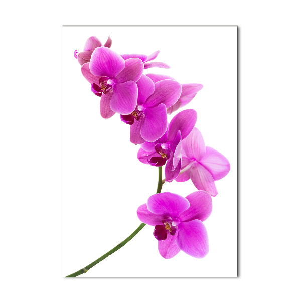 Glass art picture Pink orchid