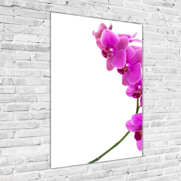 Glass art picture Pink orchid