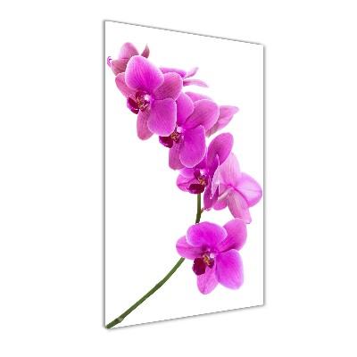 Glass art picture Pink orchid