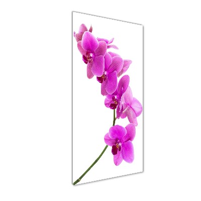 Glass art picture Pink orchid