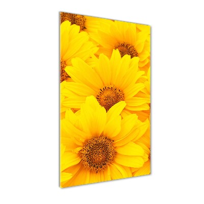 Wall art on glass Sunflowers