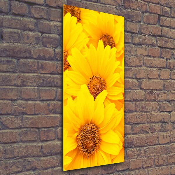 Wall art on glass Sunflowers