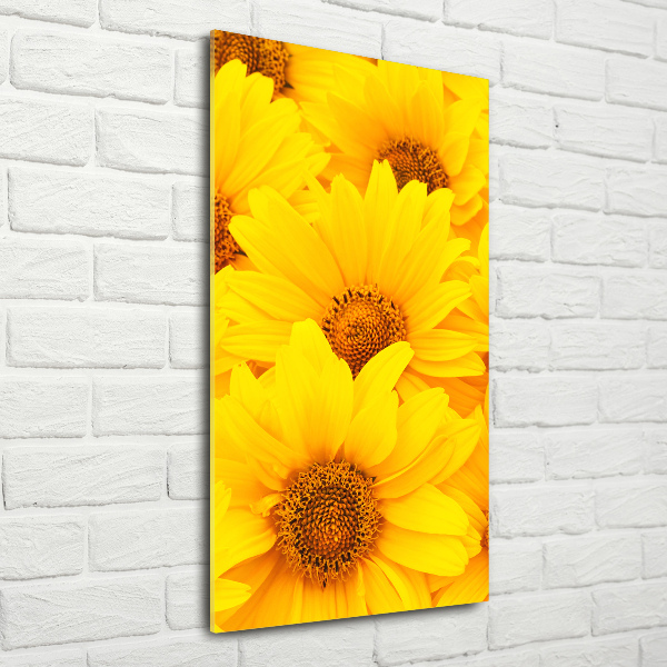 Wall art on glass Sunflowers