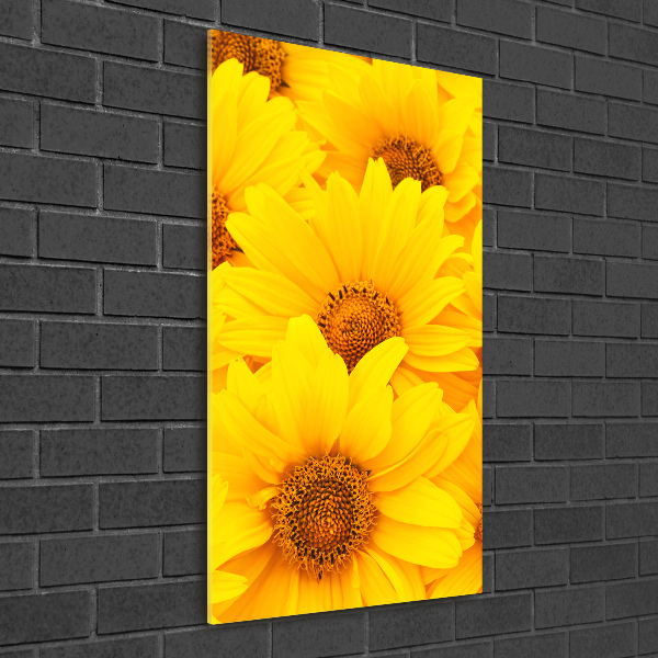 Wall art on glass Sunflowers