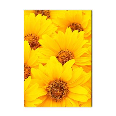 Wall art on glass Sunflowers