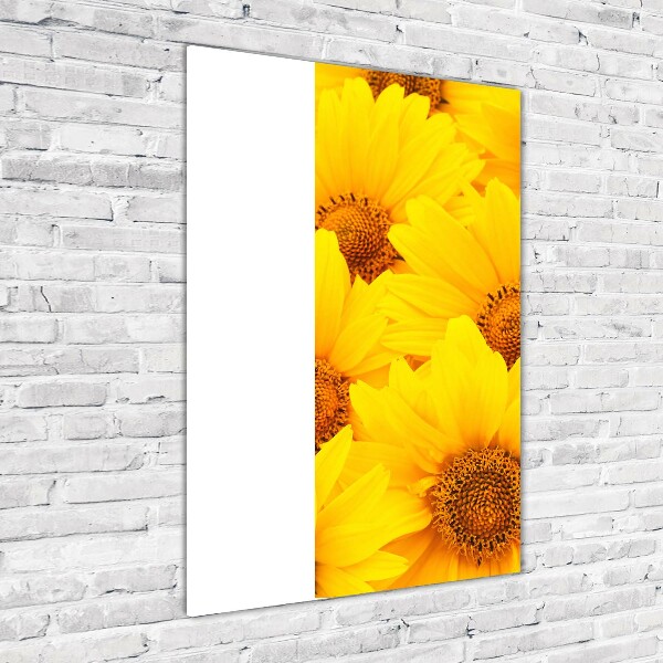 Wall art on glass Sunflowers