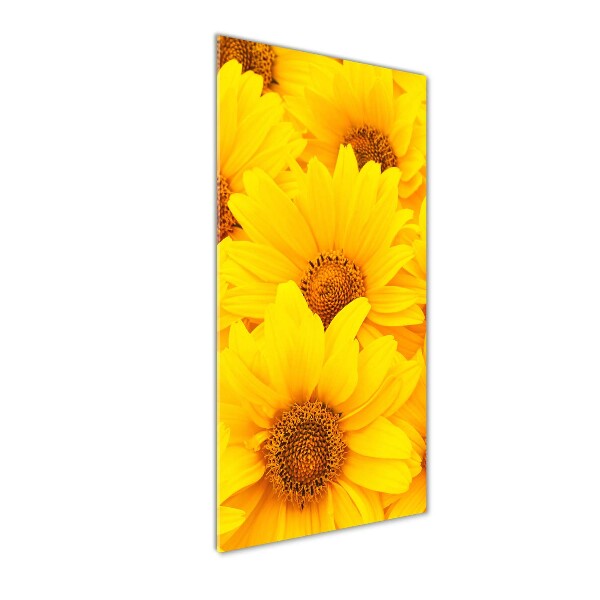 Wall art on glass Sunflowers