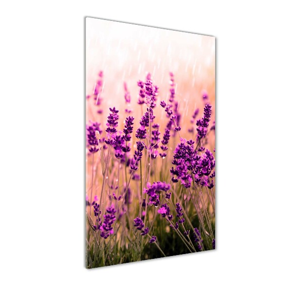 Glass art picture Lavender field