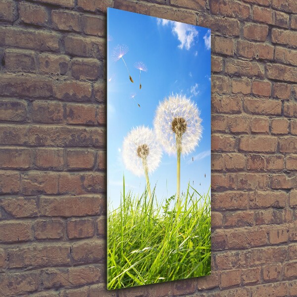 Print on a a glass Dandelion in the meadow