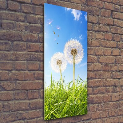 Print on a a glass Dandelion in the meadow