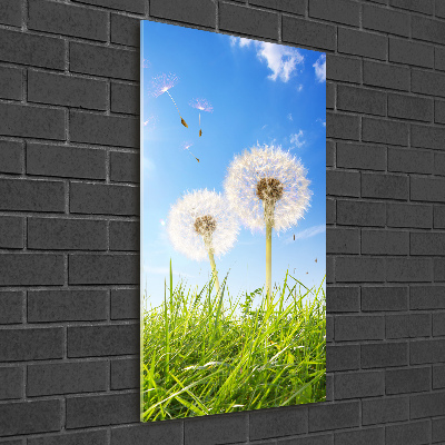 Print on a a glass Dandelion in the meadow