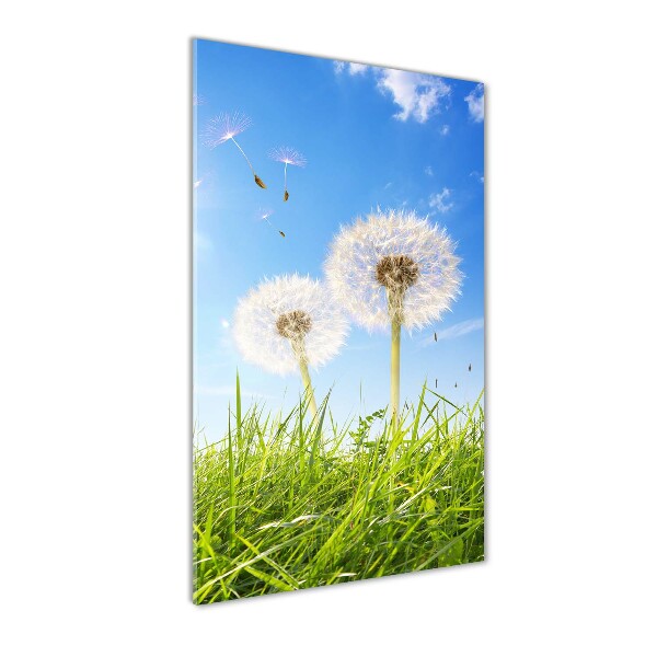 Print on a a glass Dandelion in the meadow