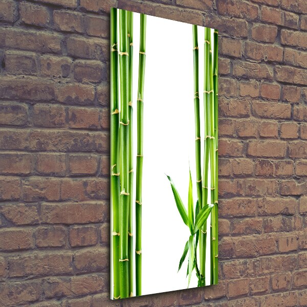 Wall art on glass Bamboo