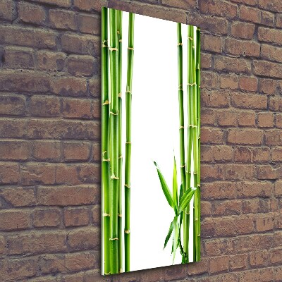 Wall art on glass Bamboo