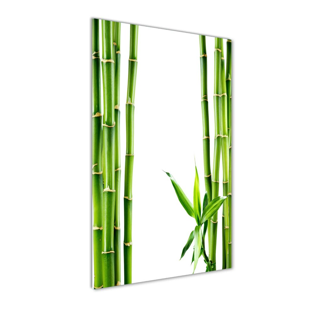 Wall art on glass Bamboo