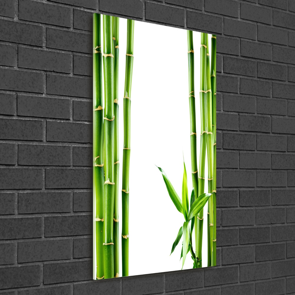 Wall art on glass Bamboo