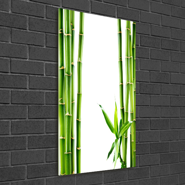 Wall art on glass Bamboo