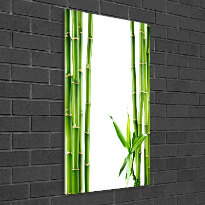 Wall art on glass Bamboo