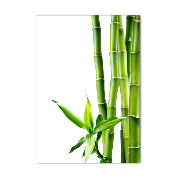 Wall art on glass Bamboo