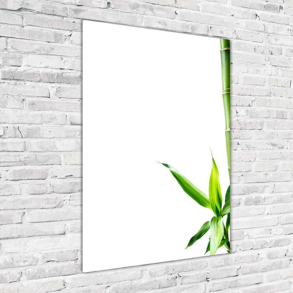 Wall art on glass Bamboo