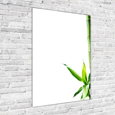 Wall art on glass Bamboo