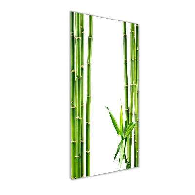 Wall art on glass Bamboo