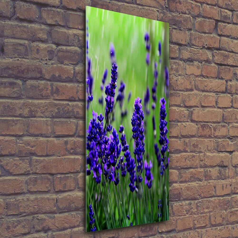 Wall art on glass Lavender field