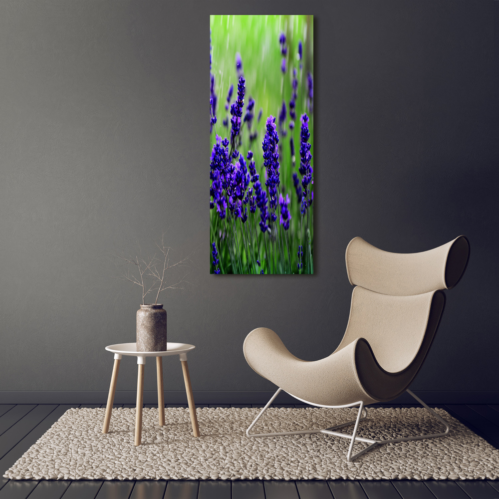 Wall art on glass Lavender field