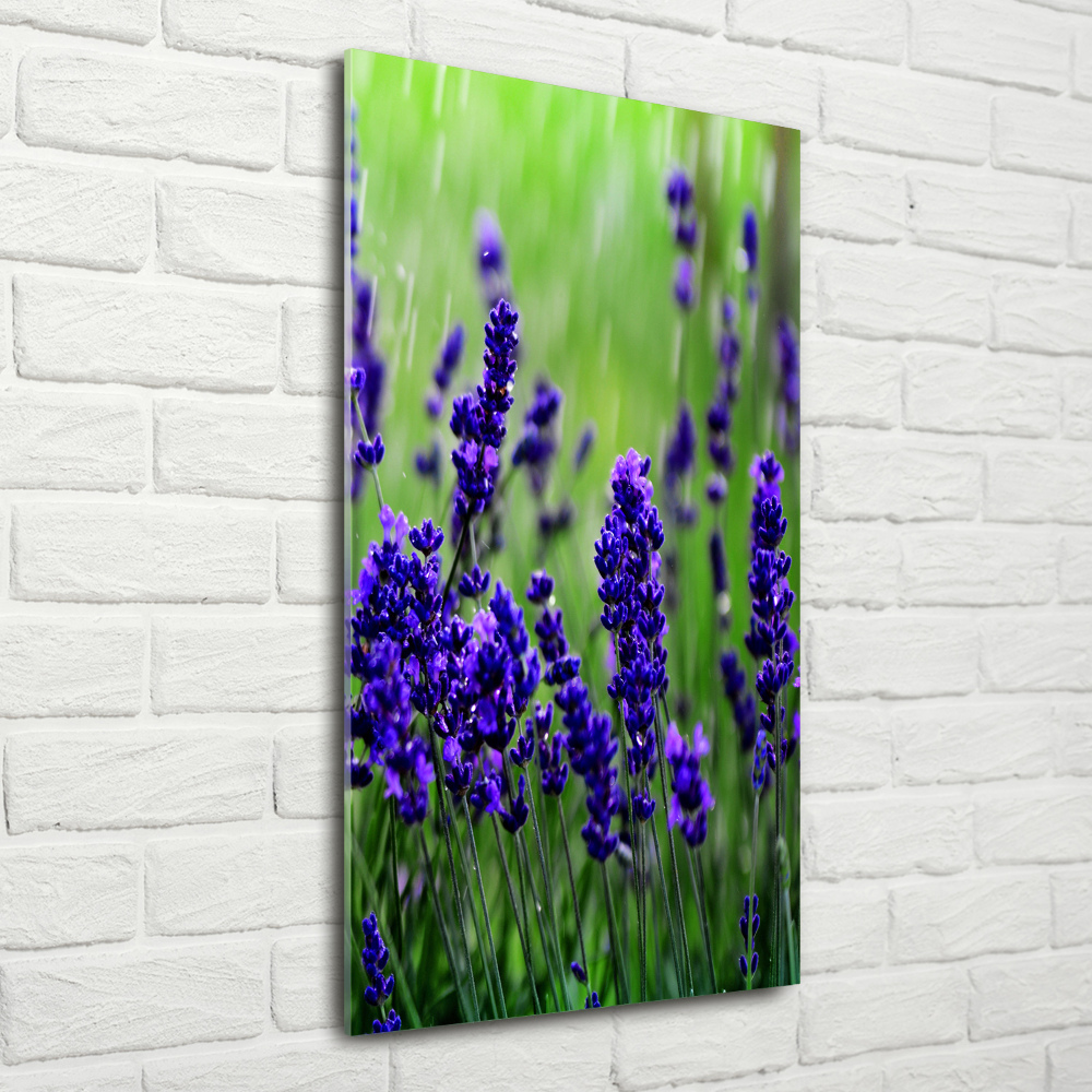 Wall art on glass Lavender field