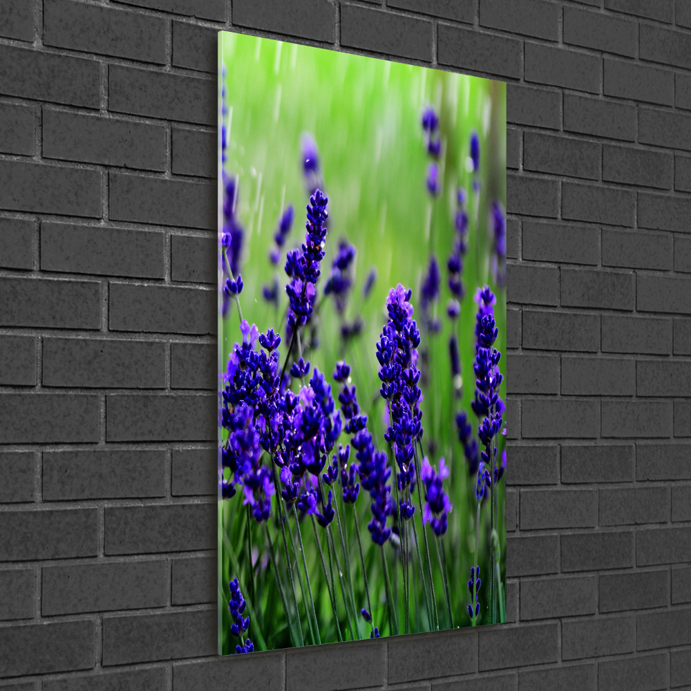 Wall art on glass Lavender field